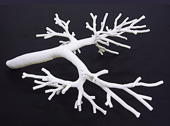 気管支モデル（3Dプリンター）