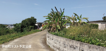 伊仙町テスト予定公道