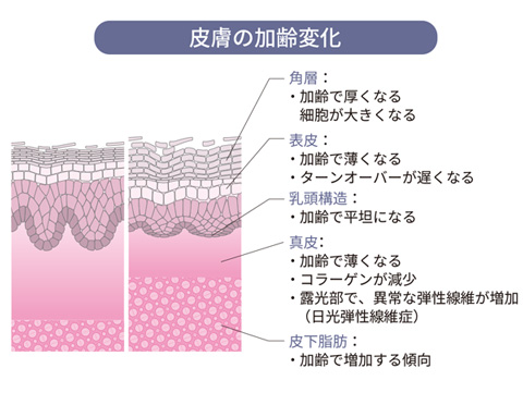 肌の悩みを解決するスキンケア化粧品