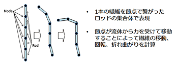 図3　DFS（Direct Fiber Simulation）の繊維モデル