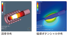 図1　誘導加熱の計算事例