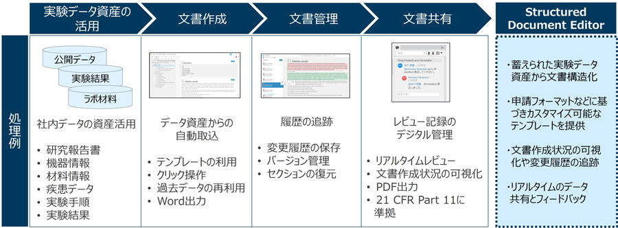 Structured Document Editor とは